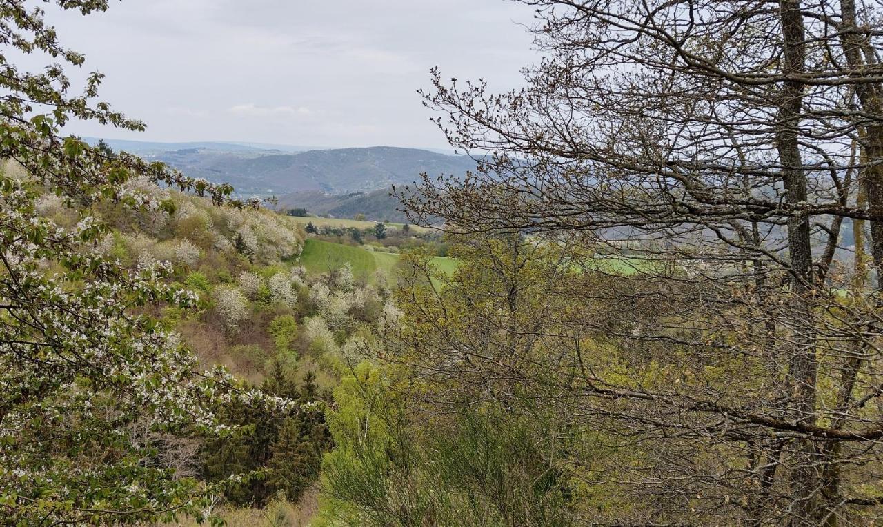 Ferienwohnungen Meindl Idar-Oberstein Dış mekan fotoğraf